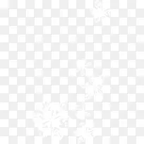 ����ѩ����������-������