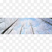 ����ѩ��-������