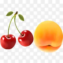 水果 矢量水果-空若网 水果 矢量水果-空若网