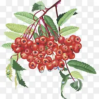 ˮ��ʸ��ͼ������ӣ��-������