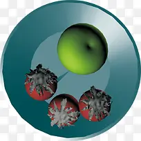 室内圆盘生鲜水果-空若网 室内圆盘生鲜水果-空若网