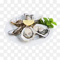 �������-������