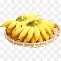 С�׽�-������