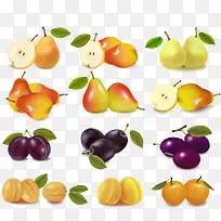 ����ˮ��-������