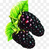 紫色新鲜水果设计-空若网 紫色新鲜水果设计-空若网