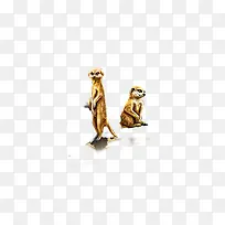 神秘动物-空若网 神秘动物-空若网