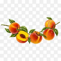 黄桃水果-空若网 黄桃水果-空若网