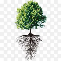 ��-������