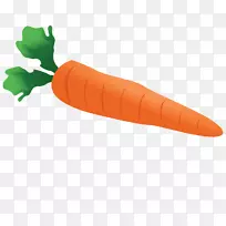 ���ܲ������߲˼�����ˮ�ʻ��߲�-������