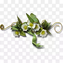 二十五-空若网 二十五-空若网