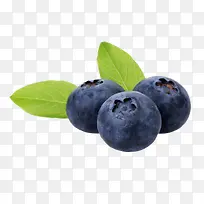 美味水果蓝莓-空若网 美味水果蓝莓-空若网