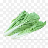 Êß²Ë-¿ÕÈôÍø Êß²Ë-¿ÕÈôÍø