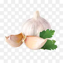 绿叶白色蒜图片-空若网 绿叶白色蒜图片-空若网