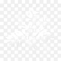 白色透明叶子-空若网 白色透明叶子-空若网