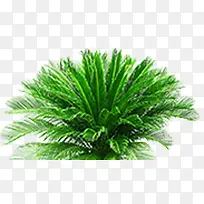 ��-������