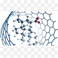 DNA-������