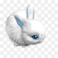 �ɰ�С����-������