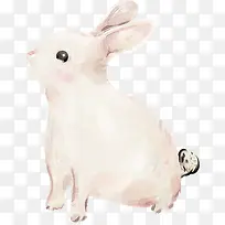 手绘白兔设计可爱-空若网 手绘白兔设计可爱-空若网