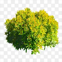 ²Ý¶Ñ-¿ÕÈôÍø ²Ý¶Ñ-¿ÕÈôÍø