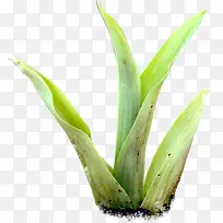 ��-������