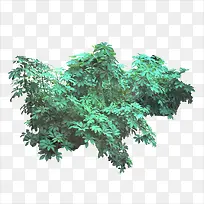 ²Ý¶Ñ-¿ÕÈôÍø ²Ý¶Ñ-¿ÕÈôÍø