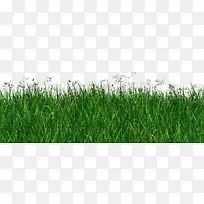 草堆-空若网 草堆-空若网