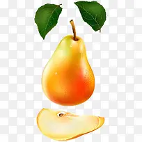 矢量梨子-空若网 矢量梨子-空若网