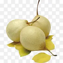 水果-空若网 水果-空若网