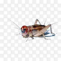 ������-������