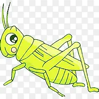 蟋蟀昆虫-空若网 蟋蟀昆虫-空若网