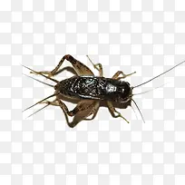 ��-������