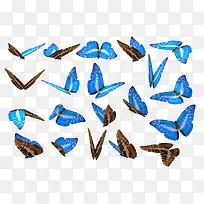 ����-������