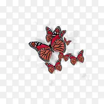 ºûµû-¿ÕÈôÍø ºûµû-¿ÕÈôÍø