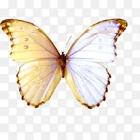 ���� ���� �걾-������