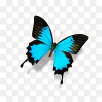 ºûµû-¿ÕÈôÍø ºûµû-¿ÕÈôÍø