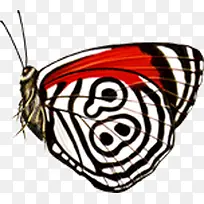 ºûµû-¿ÕÈôÍø ºûµû-¿ÕÈôÍø