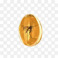 琥珀-空若网 琥珀-空若网