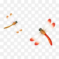 矢量蜻蜓-空若网 矢量蜻蜓-空若网