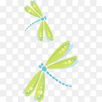 ��ɫ����-������