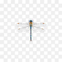 矢量彩色大蜻蜓-空若网 矢量彩色大蜻蜓-空若网