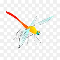 红蜻蜓-空若网 红蜻蜓-空若网