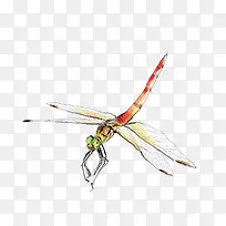 ����-������