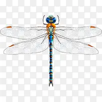 ����ʸ��ͼ-������