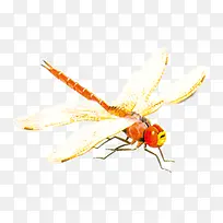 ���������-������