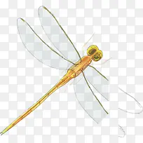 ����-������