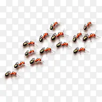 ÂìÒÏ-¿ÕÈôÍø ÂìÒÏ-¿ÕÈôÍø