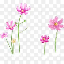 手绘卡通花精灵插画-空若网 手绘卡通花精灵插画-空若网