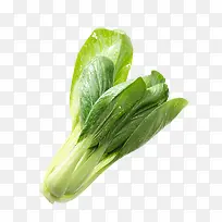 小白菜产品实物-空若网 小白菜产品实物-空若网