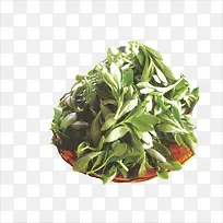 青菜-空若网 青菜-空若网