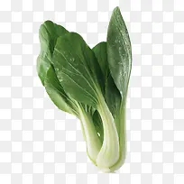 小白菜产品实物-空若网 小白菜产品实物-空若网